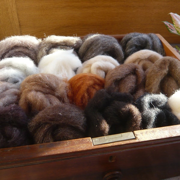 Heidifeathers 'Wildlife Mix' Carded Sliver Feutrage Laine - 18 nuances de laine