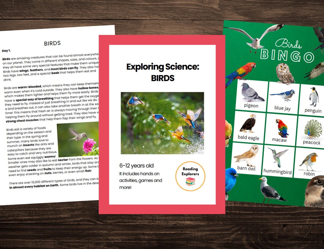Birds | Science Unit Study | 6-12 Years Old | Reading Explorers - Etsy