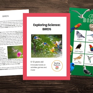 Birds | Science Unit Study | 6-12 years old | Reading Explorers