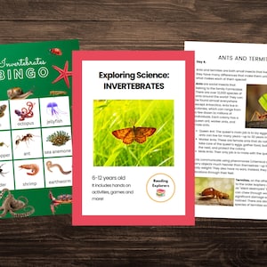 May include: A green bingo card featuring pictures of invertebrates such as a moth, octopus, jellyfish, grasshopper, ant, sea anemone, spider, shrimp, and earthworm. The card is titled "Invertebrates Bingo".