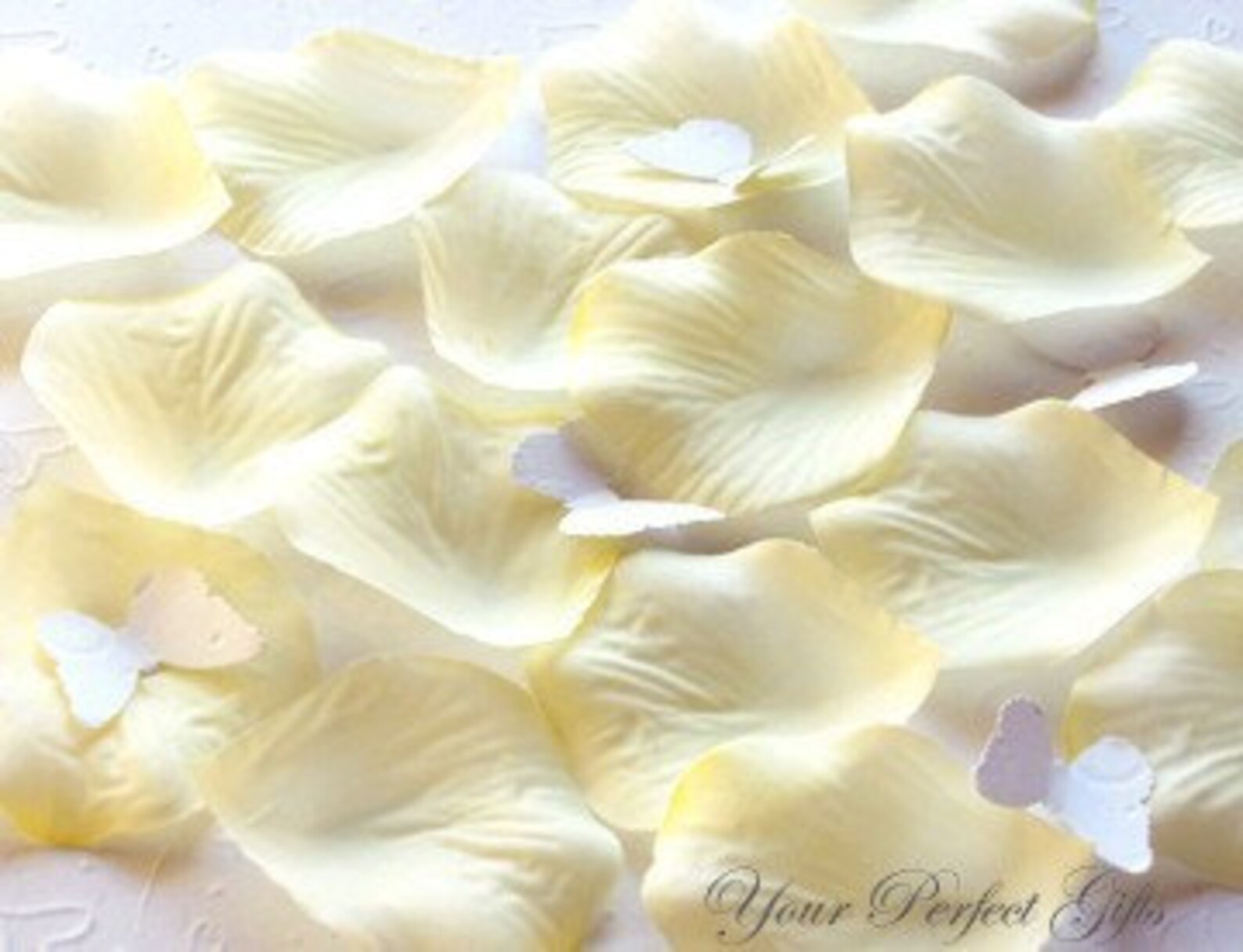 1000 Silk Rose Petals Light Yellow Butter Cream Wedding Flower Etsy