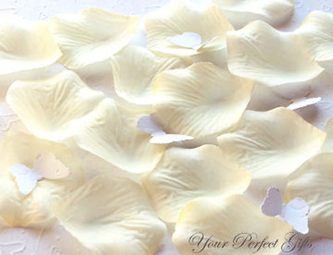 1000 Pcs Ivory Silk Rose Petals Wedding Flower Favor Etsy