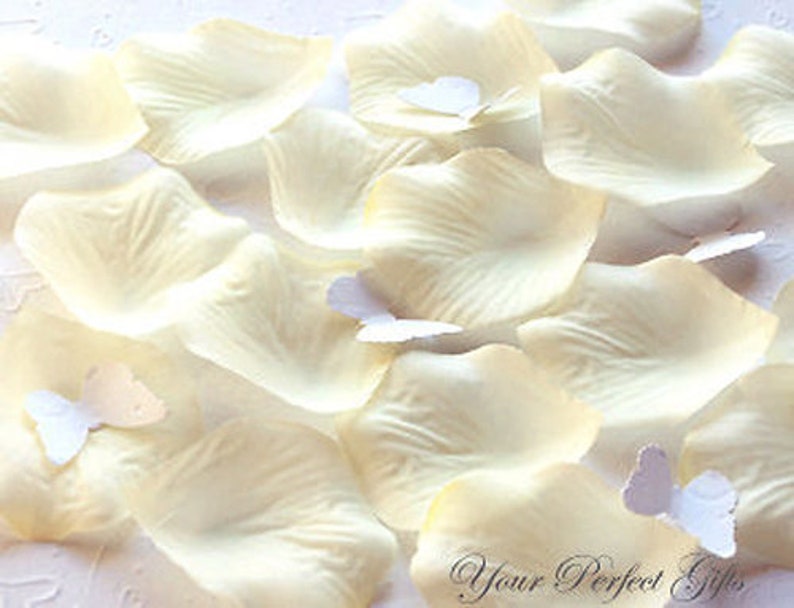 1000 Pcs Ivory Silk Rose Petals Wedding Flower Favor Etsy