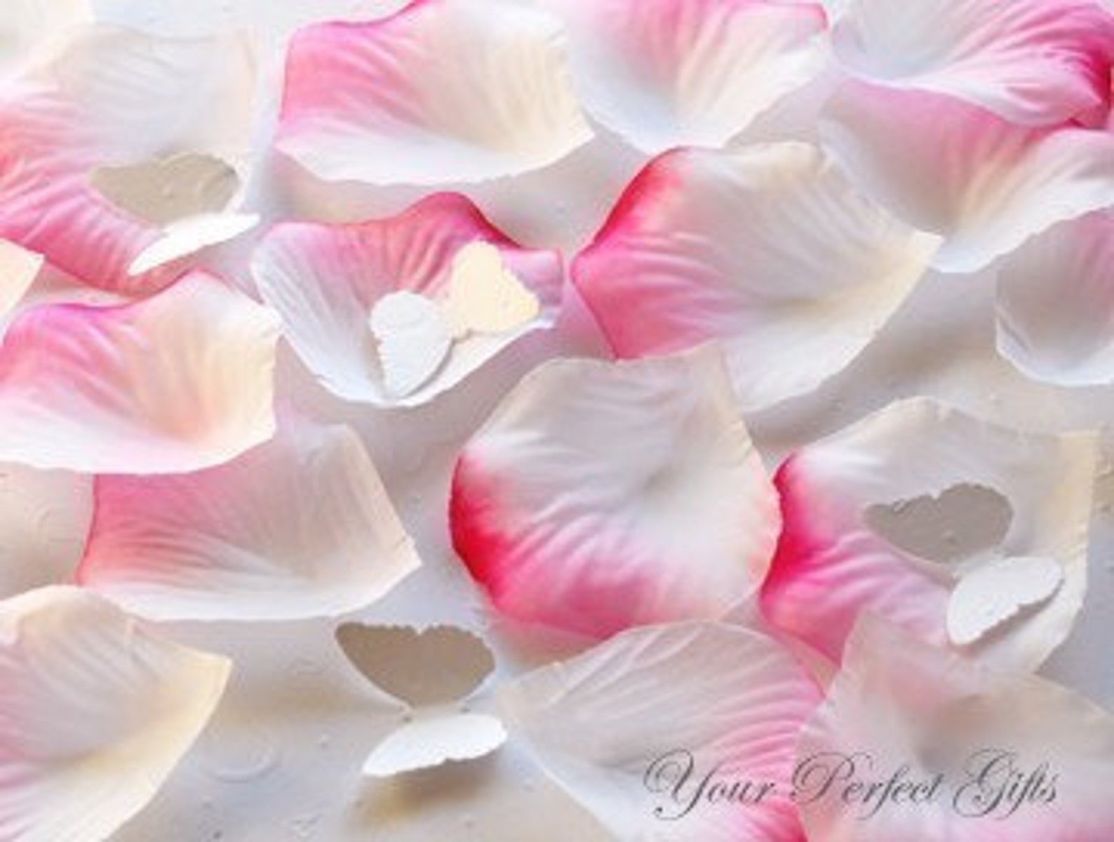 1000 Pieces White Pink Silk Rose Petals Wedding Flower Facor Etsy