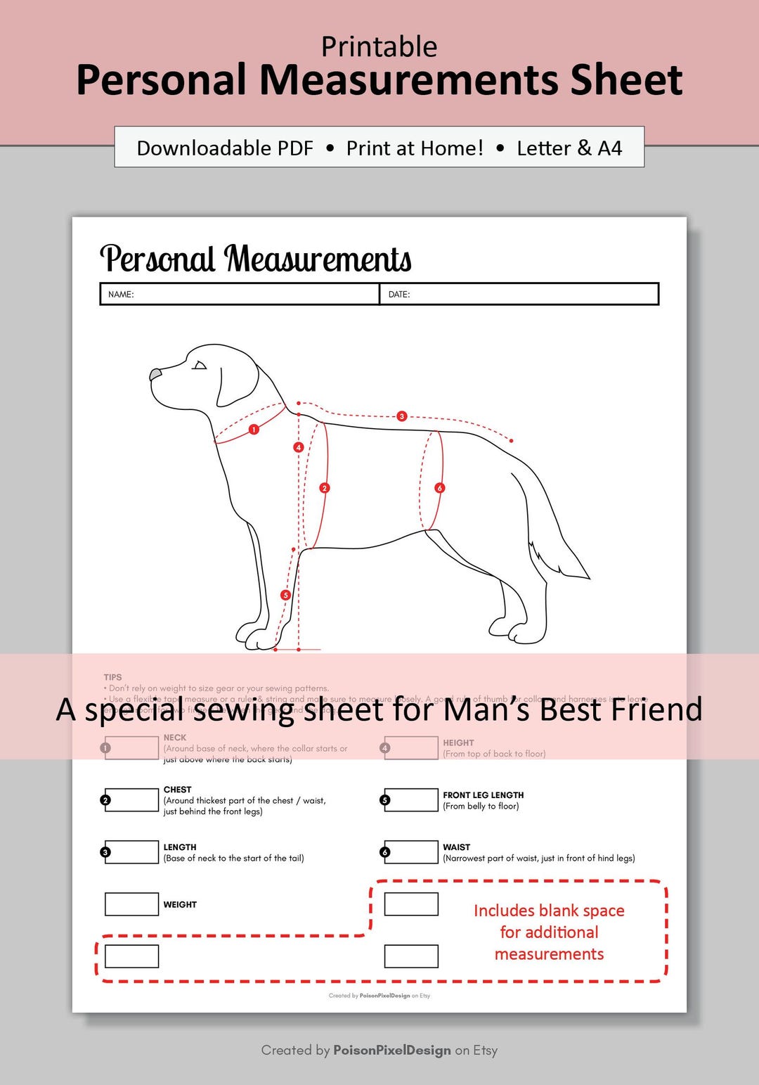 Printable Sewing Sheet Dog Measurement Chart for Man's Best Friend