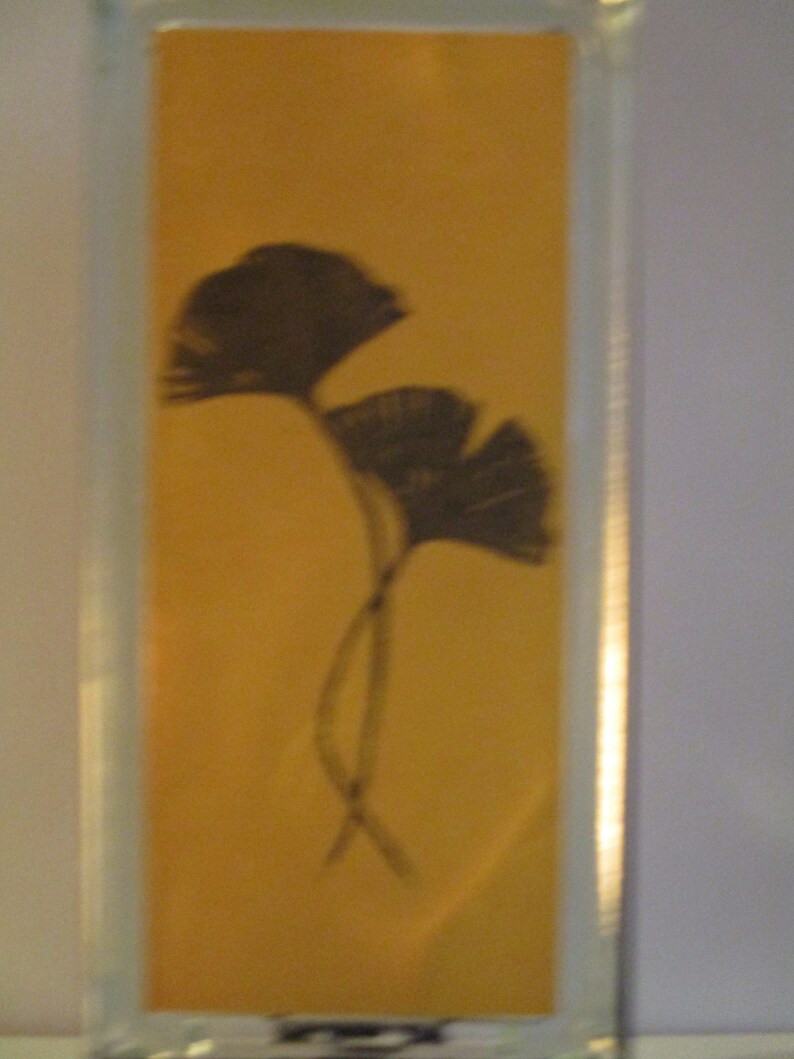 Gingko leaves lighted glass block, Gingko gift, ginko biloba upcycled 50's retro gingko leaves night light, fall decor Bild 4