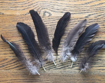 Lot 67 - 7 Pcs Black Natural Feathers, Real Bird Feathers, Ethical Fashion, Jewellery Fancy Dress Costume, Australian Sellers hats millinery