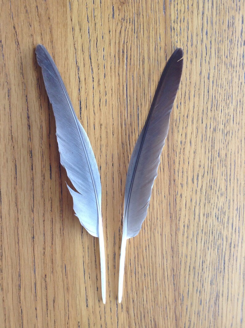 Lot 2 2 Pcs Duck Feathers Real Natural Feathers For Craft Etsy - 
