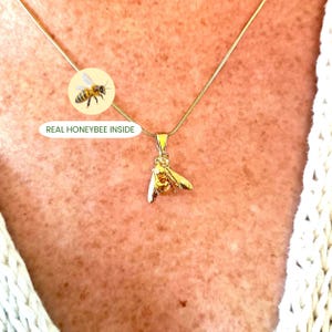 Può includere: Una collana con pendente a forma di ape dorata. Il pendente è un'ape dettagliata, sospesa a una sottile catena d'oro. L'immagine include il testo "REAL HONEYBEE INSIDE" accanto a una piccola illustrazione di un'ape.