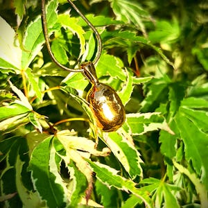 May include: A gold-colored pendant necklace with a smooth, rounded shape hangs against a backdrop of green and white leaves. The chain is thin and delicate, complementing the pendant's polished finish. The necklace is a piece of jewelry.