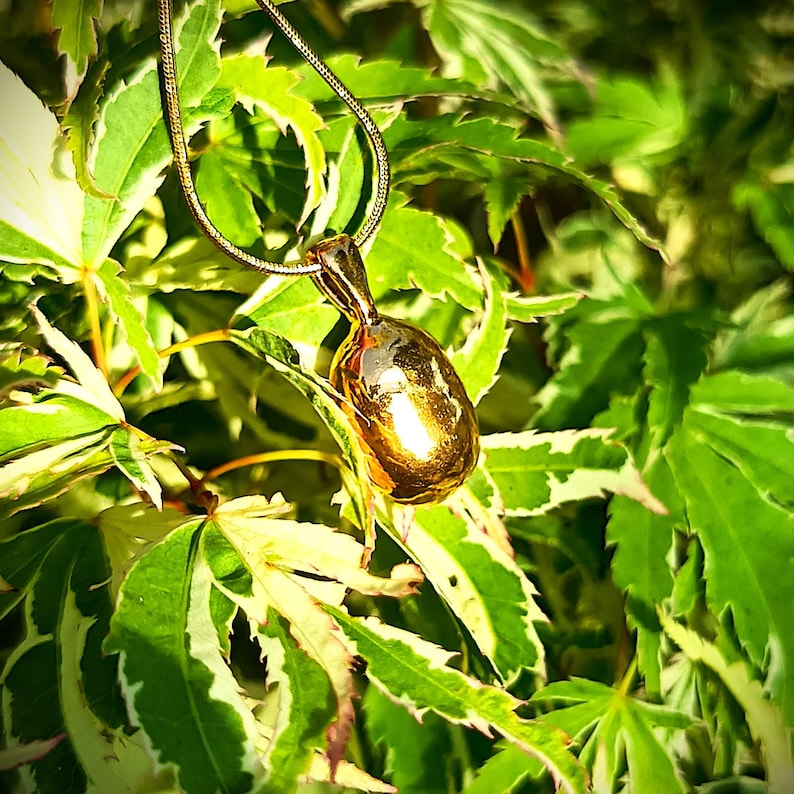 May include: A gold-colored pendant necklace with a smooth, rounded shape hangs against a backdrop of green and white leaves. The chain is thin and delicate, complementing the pendant's polished finish. The necklace is a piece of jewelry.
