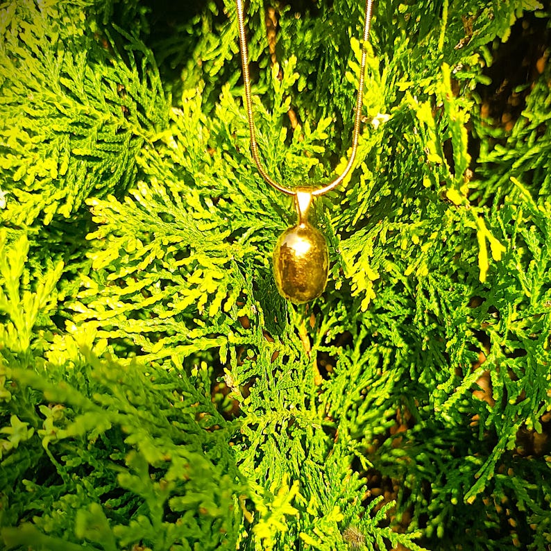 May include: A gold-colored pendant necklace with a smooth, oval-shaped charm. The necklace hangs against a backdrop of vibrant green foliage, creating a striking contrast. The chain is delicate and appears to be made of a thin, gold-toned metal.