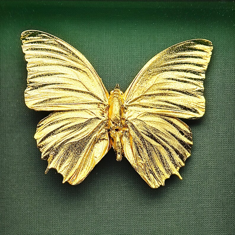 May include: A gold-coloured butterfly brooch with a metallic finish. The wings feature detailed, raised linear textures that mimic the natural veins of a butterfly. The central body is sculpted with a smooth, reflective surface and defined segments.