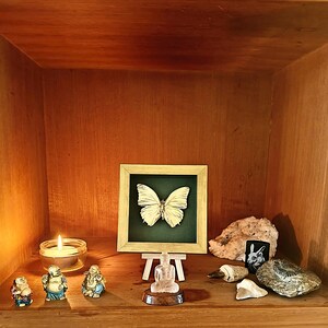 May include: A square wooden frame containing a white butterfly specimen on a dark green background, displayed on a small easel. The arrangement includes three small Buddha figurines, a lit candle, a rock, a shark tooth, and a fossilised stone.