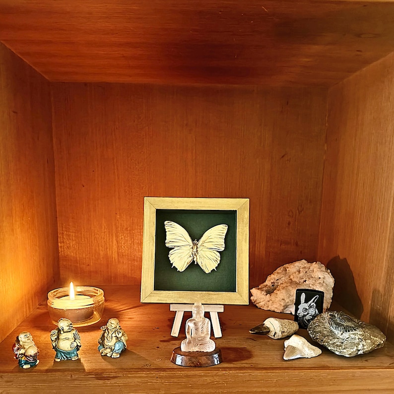 May include: A square wooden frame containing a white butterfly specimen on a dark green background, displayed on a small easel. The arrangement includes three small Buddha figurines, a lit candle, a rock, a shark tooth, and a fossilised stone.