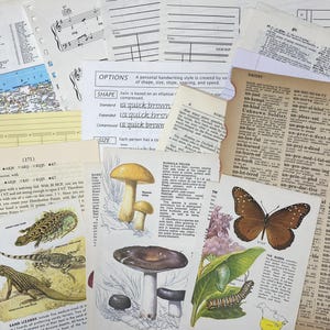 May include: A collection of assorted vintage paper ephemera including dictionary pages, music sheets, and illustrated book plates featuring a brown butterfly, a green caterpillar, a chrysalis, and various mushrooms and sand lizards.