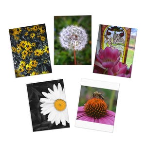 Biglietti d'auguri con fiori (confezione da 5) / Girasole, Margherita, Tarassaco e Ape / 4,25x5,5 / Carta premium con buste / Perfetti per tutte le occasioni