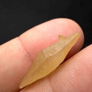 Puede incluir: Primer plano de un peque&ntilde;o cristal marr&oacute;n claro sostenido entre los dedos. El cristal es alargado con una punta y una peque&ntilde;a protuberancia en la parte superior. La superficie tiene un aspecto texturizado y el fondo es oscuro.