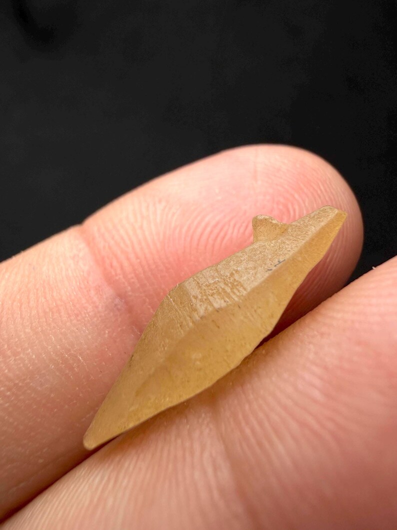 Puede incluir: Primer plano de un peque&ntilde;o cristal marr&oacute;n claro sostenido entre los dedos. El cristal es alargado con una punta y una peque&ntilde;a protuberancia en la parte superior. La superficie tiene un aspecto texturizado y el fondo es oscuro.