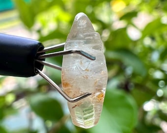 May include: A clear, elongated crystal with a pointed tip, held by a black and silver tool. The crystal has internal structures and amber-coloured inclusions. The background is blurred green foliage.