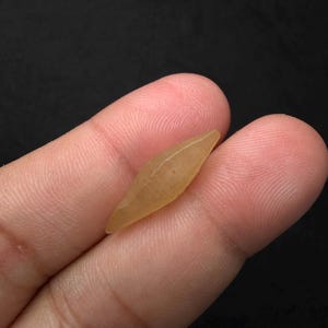 Puede incluir: Una gema transl&uacute;cida de color &aacute;mbar, alargada y puntiaguda en ambos extremos, se sostiene entre dos dedos sobre un fondo negro. La piedra tiene un aspecto liso y pulido, y la luz la atraviesa.