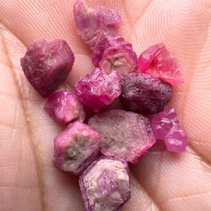 May include: A collection of pink ruby crystals of various sizes and shapes. The crystals are rough and have a natural, unpolished appearance.