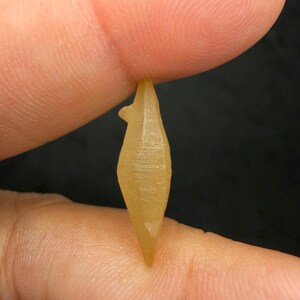 Puede incluir: Un peque&ntilde;o cristal transl&uacute;cido de color amarillo con una punta y una peque&ntilde;a protuberancia. El cristal se sostiene entre dos dedos sobre un fondo oscuro, mostrando su forma y textura.