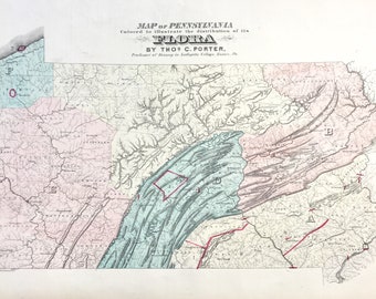 Pennsylvania State Flora map, Original 1872 State of Pennsylvania Atlas, Antique Botany