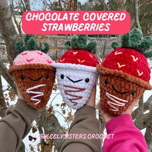 Chocolate Covered Strawberry Plushie | Amigurumi | Crochet Plushie | Stuffed Animal | Valentines Day Gift