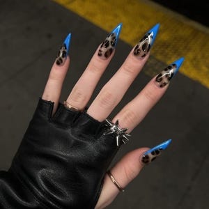 May include: Stiletto-shaped artificial nails featuring a leopard print pattern on a clear base with bright blue tips. The nails are worn with a black fingerless leather glove, a silver spiked ring, and two plain gold-toned bands. Text reads Dreamy claws.