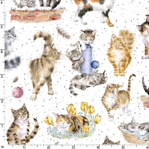 Reduced ** Whiskers & Paws by Hannah Dale  Directional - Cats