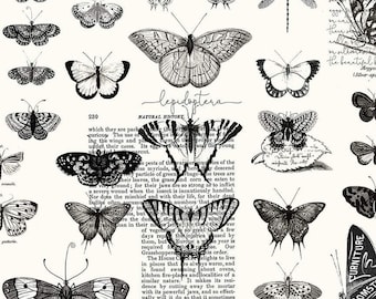 Art Journal Butterflies White by J. Wecker Frisch for Riley Blake Designs