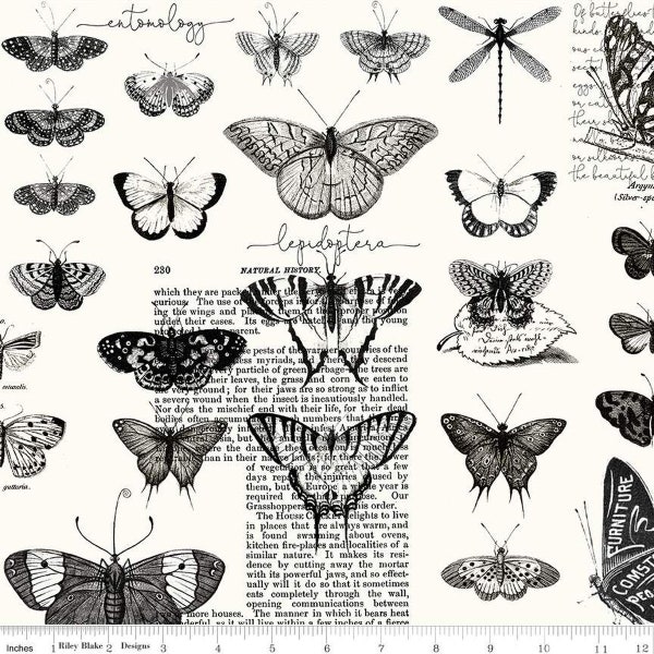 Art Journal Butterflies White by J. Wecker Frisch for Riley Blake Designs