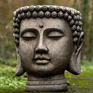 Puede incluir: Un macetero de cabeza de Buda de piedra gris con un rostro detallado y una corona de rizos. El macetero está sentado sobre un lecho de musgo verde.