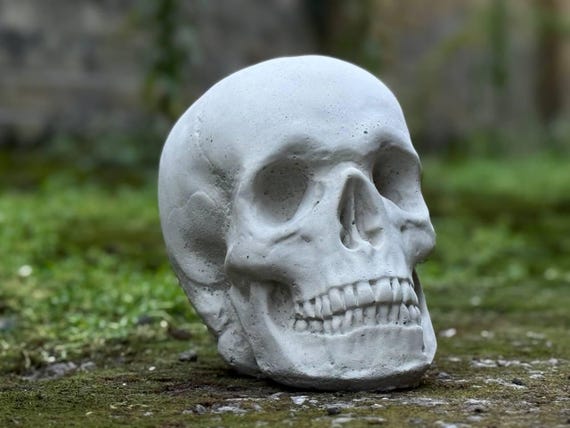 その他 HASADHU SHINGON SKULL SCULPTURE IN WHITE Amazing White Skull Figurine Gothic Garden and Home Decoration