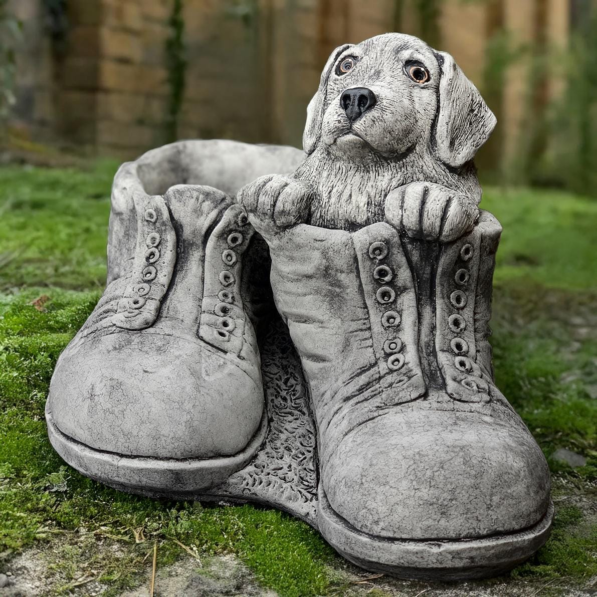 Dog on Boot Planter - Etsy