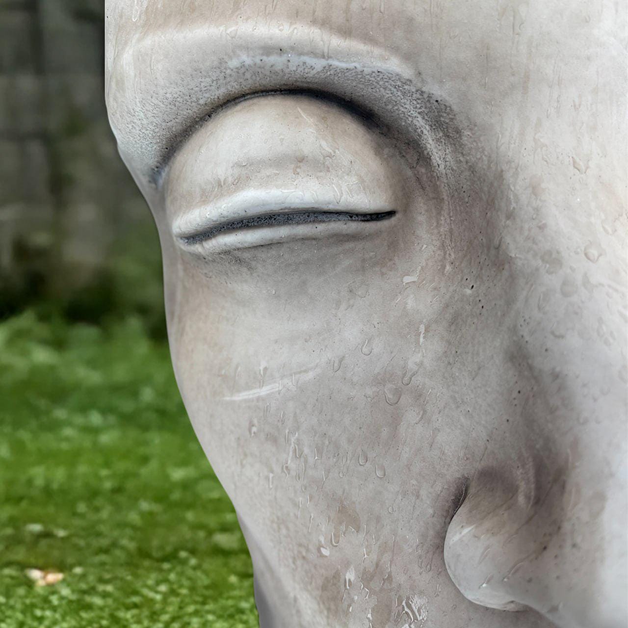 Large Head Sculpture Concrete Head Statue Outdoor Human Bust Figurine ...