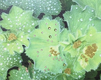 dewdrop leaves photograph