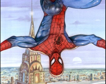 Spiderman Signed Print