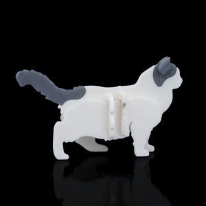 Kit Ragdoll | Jouet amusant pour chat en ragdoll, accessoire de jeu de table, carte animal de compagnie, cadeau pour amoureux des chats, décoration unique pour animal de compagnie, jeu de cartes ludique