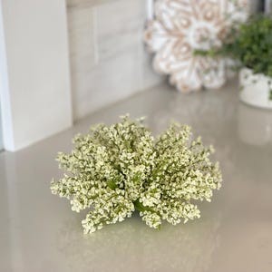 May include: A small, round, artificial floral arrangement with clusters of tiny, off-white flowers and green stems. The arrangement sits on a reflective surface, suggesting a decorative home accent.