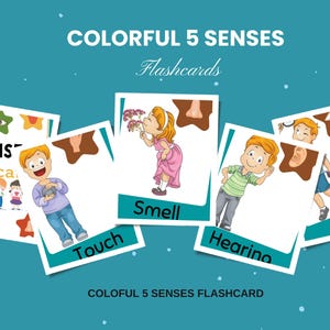 Flashcard colorate sui 5 sensi, schede didattiche stampabili, schede didattiche per imparare i 5 sensi, schede didattiche interattive sui 5 sensi, schede sensoriali