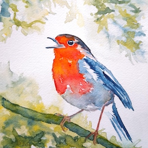 Authentic watercolor robin bird, original wall art, garden bird illustration, bird painting