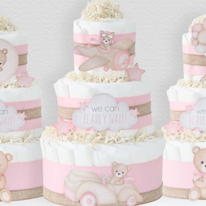 Pink Teddy Bear Diaper Cake, We Can Bearly Wait Baby Shower Decoration, Baby Girl Gift, Pink Brown Bear Centerpiece, Moon, Balloons, Plane