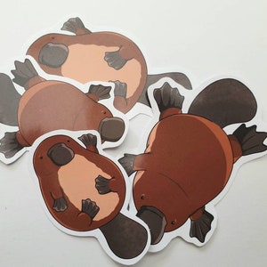 Platypus sticker set, cute stickers for journals, notebooks, planners, kawaii duck billed platypus