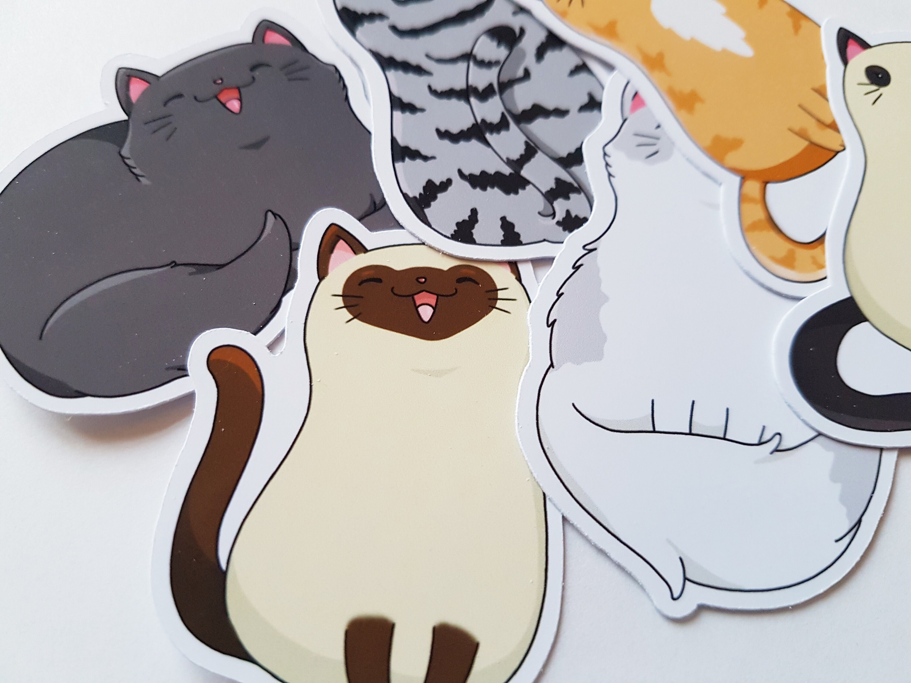 Cat Stickers Kawaii Cats Cute Sticker Set Planner Stickers Etsy UK