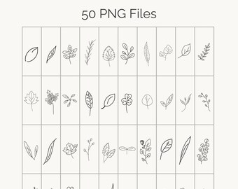 Botanische lijntekeningen set 2 | 50 handgetekende bladeren | Minimale handgetekende clipart | Transparante achtergrond
