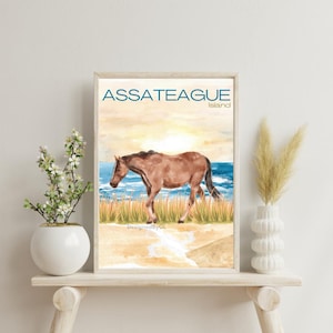 Assateague Island Horse
