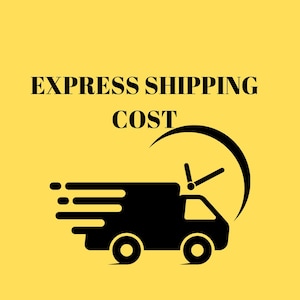 Express Shipping Cost