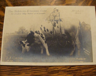 Antique Farmhouse ~ Farm Postcards ~  advertising ~ UNUSED ~ Cow ~ Children